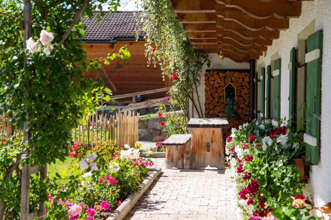 因泽尔Ramslerhof - Chiemgau Karte别墅 外观 照片